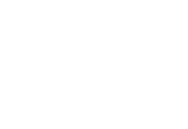 Stoicheia logo